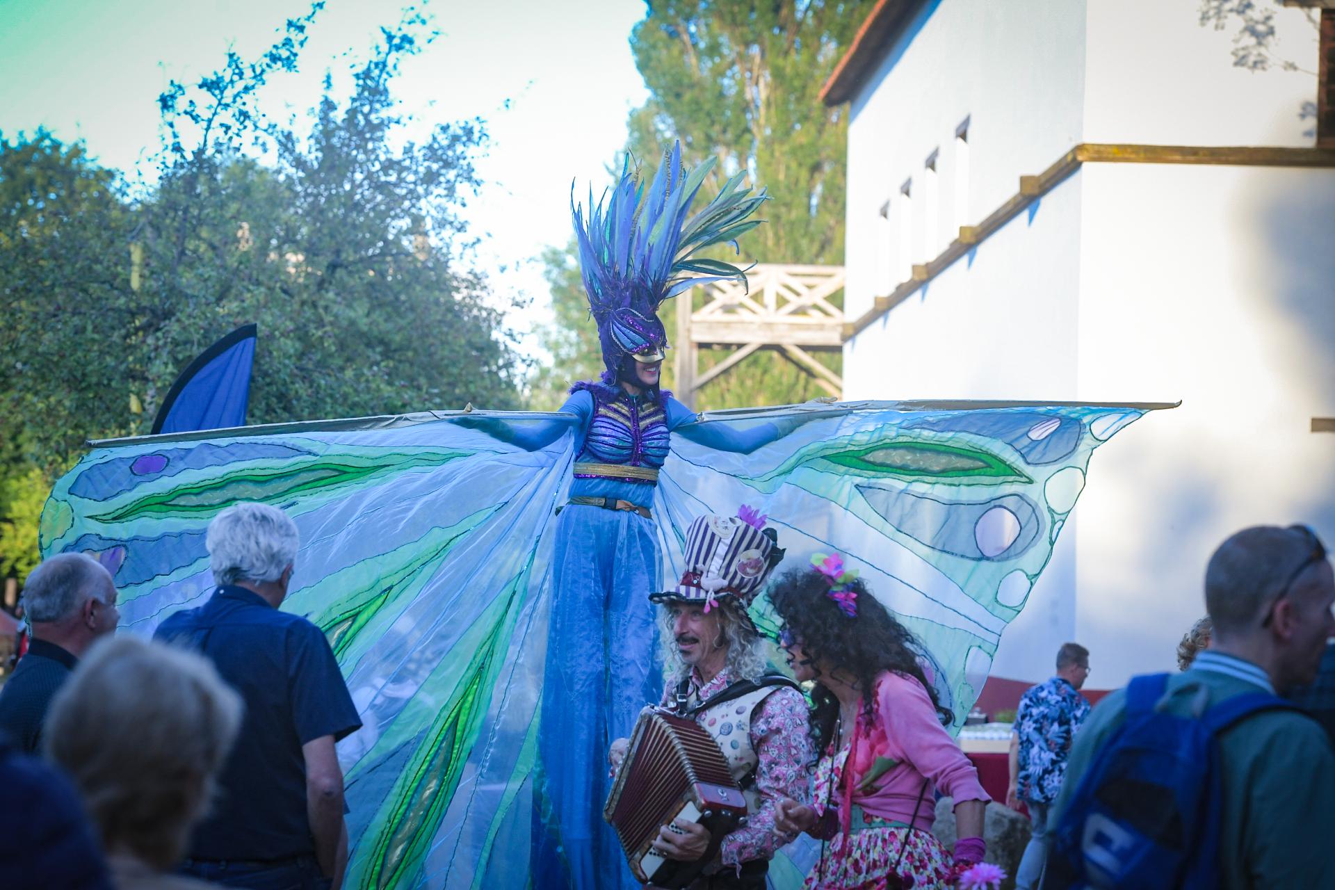 Midzomer Fair - Zondag